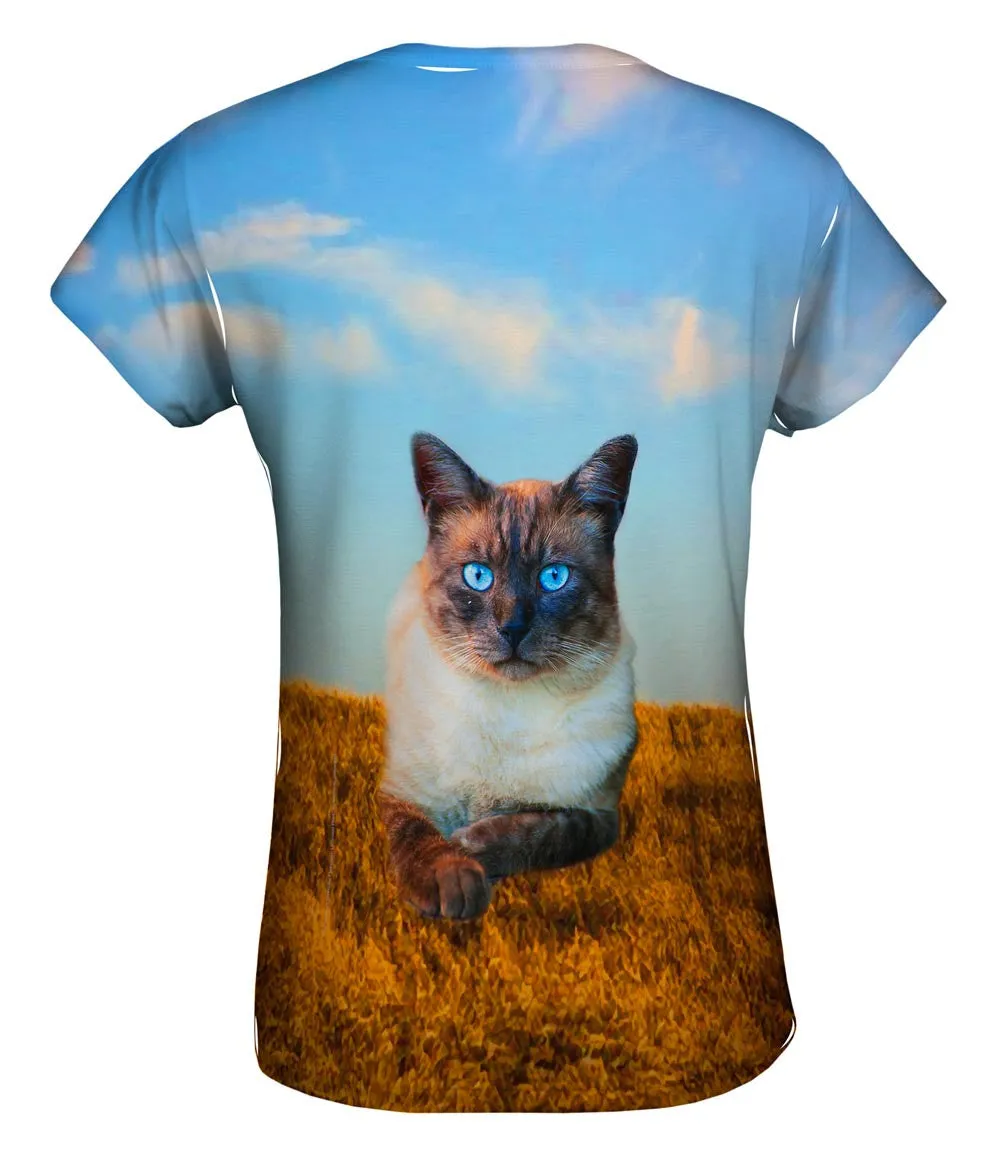 Blue Eyed Cat For President