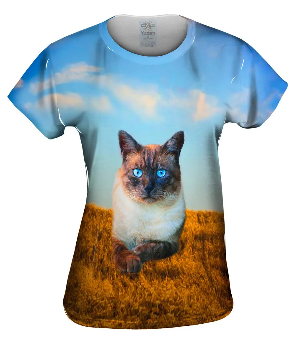 Blue Eyed Cat For President