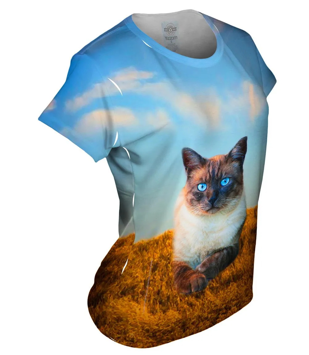 Blue Eyed Cat For President