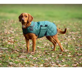 Digby & Fox Heritage Dog Coat Forest