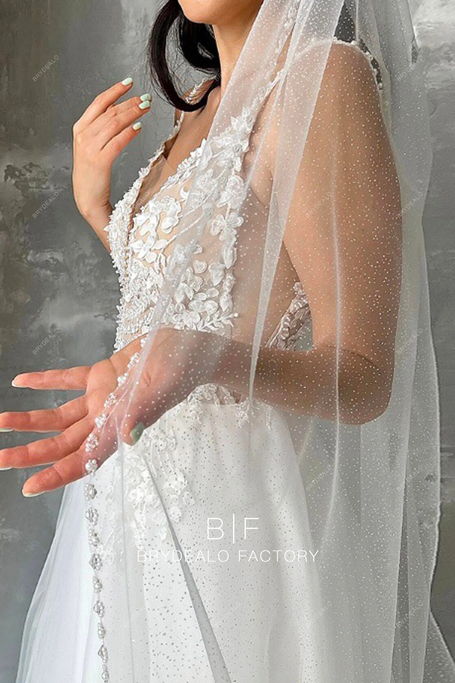 Hand-sewn Beading Edge Shimmery Single Tier Long Bridal Veil