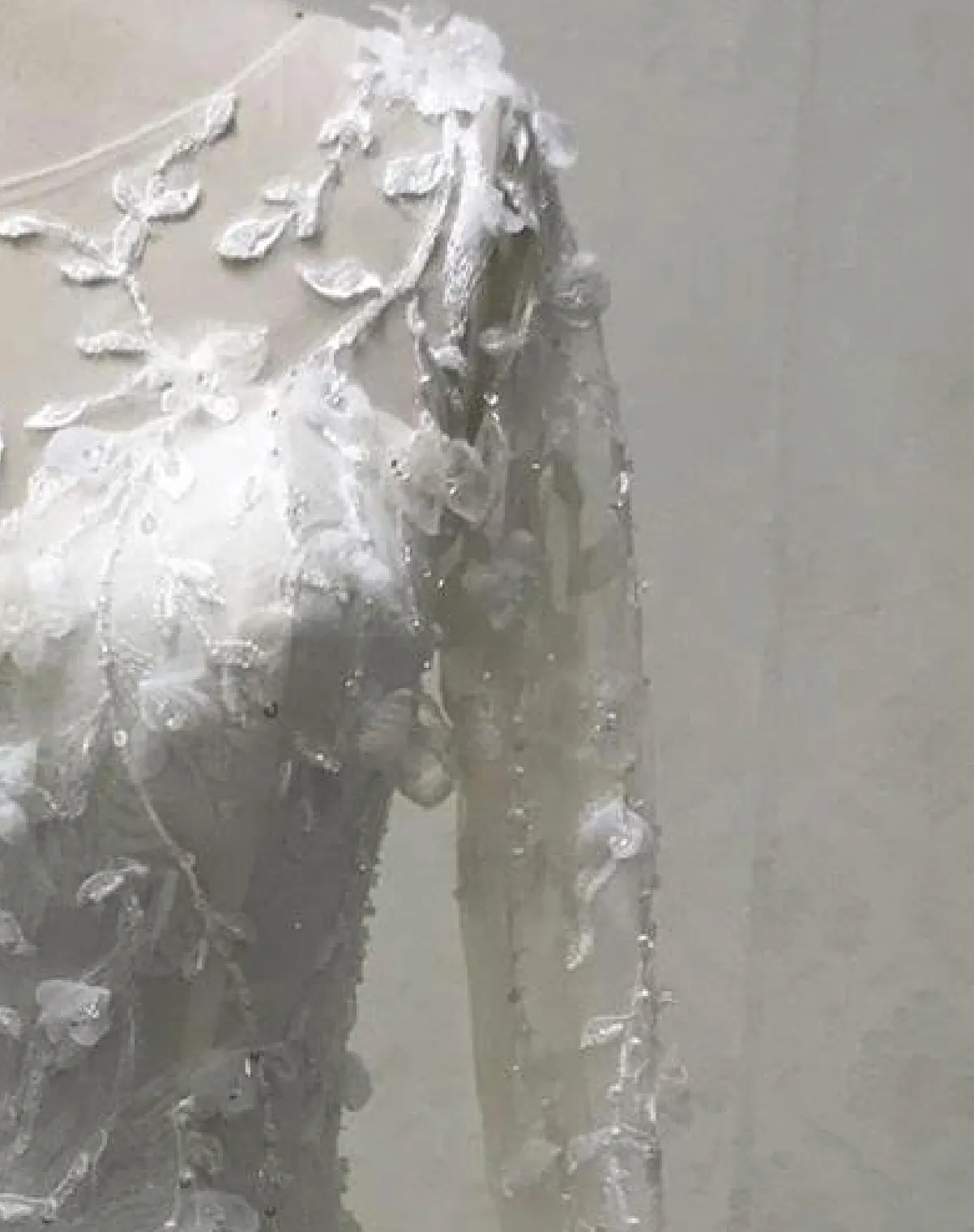 Illusion 3D Lace Pleated Skirt Bridal Gown Long Sleeve Wedding Dress