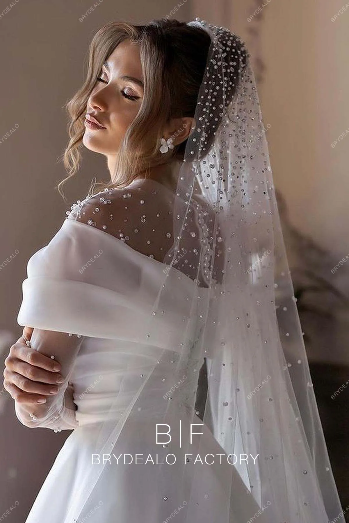 Illusion Neck Off Shoulder Organza Ball Gown Modern Wedding Dress
