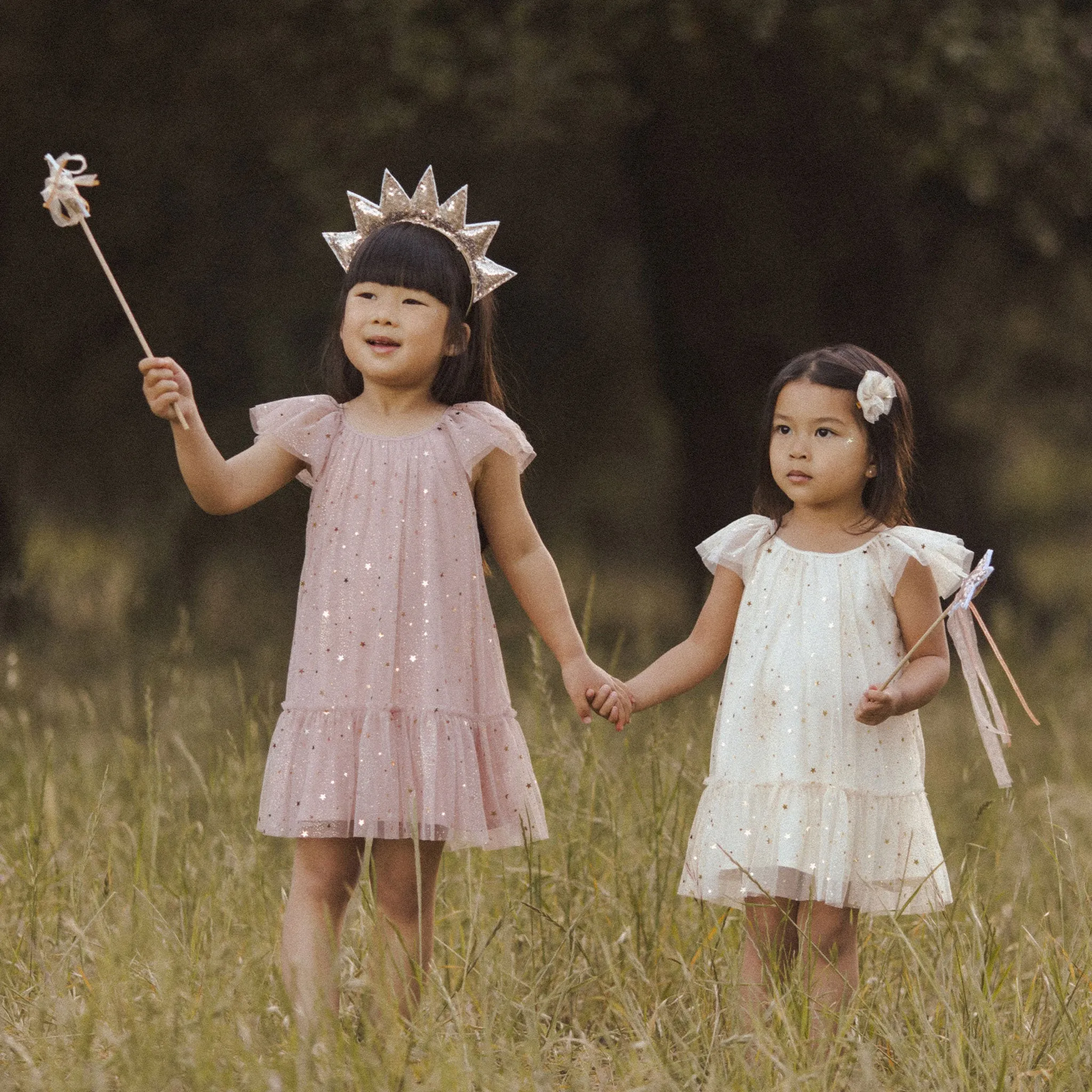 Noralee Edie Dress - Champagne Stars