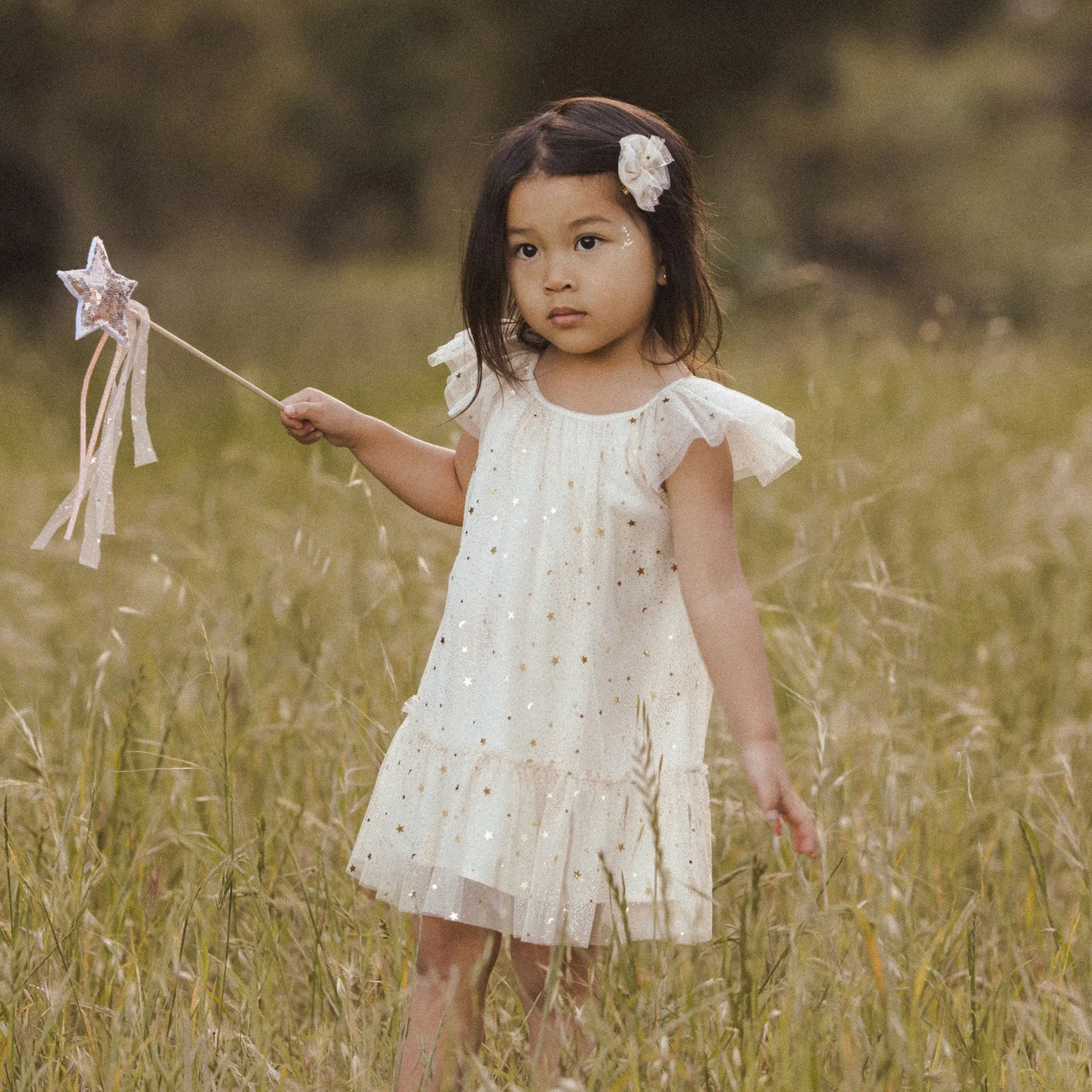 Noralee Edie Dress - Champagne Stars